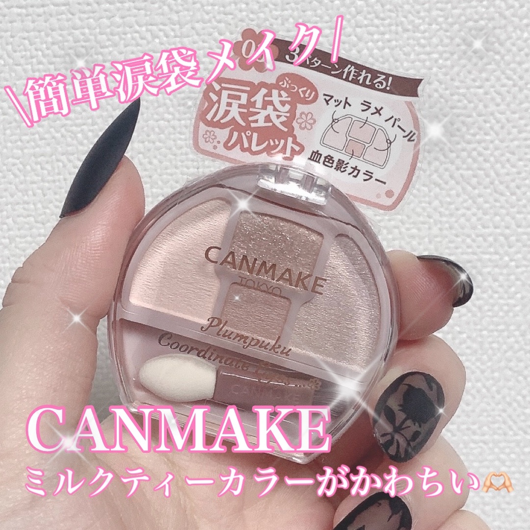 プランぷくコーデアイズ/キャンメイク/パウダーアイシャドウを使ったクチコミ（1枚目）