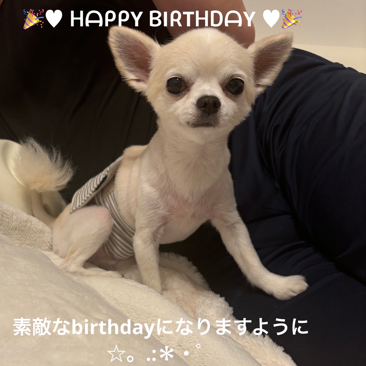 ネイルホリック Aurora Glitter/ネイルホリック/マニキュアを使ったクチコミ(7枚目)