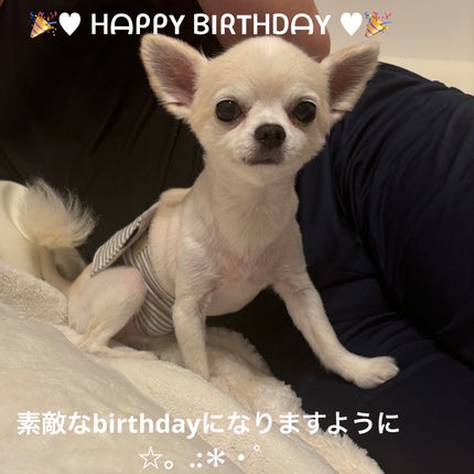 ネイルホリック Aurora Glitter/ネイルホリック/マニキュアを使ったクチコミ(7枚目)