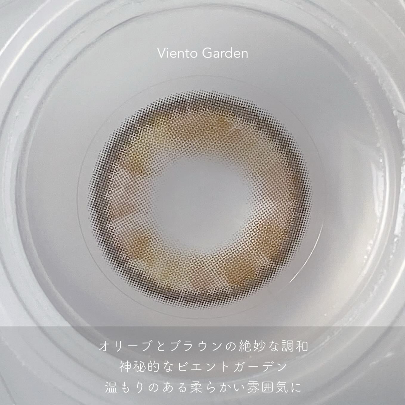 Susurro 1Day/mimundo/カラーコンタクトレンズを使ったクチコミ(6枚目)