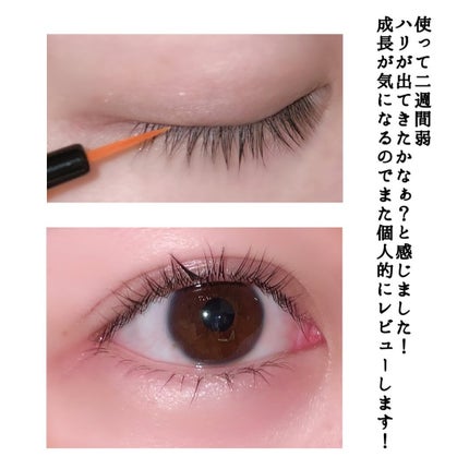 ラッシュアディクト アイラッシュコンディショニングセラム/soaddicted/まつげ美容液を使ったクチコミ(3枚目)