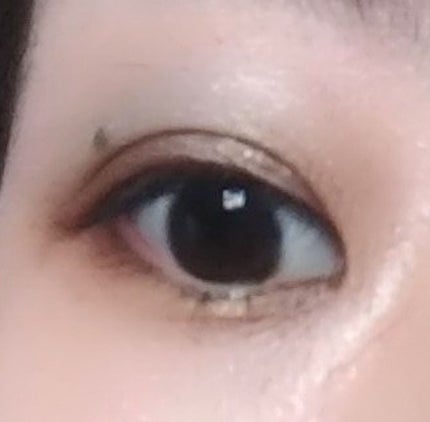 スキニーリッチシャドウ/excel/アイシャドウパレットを使ったクチコミ(4枚目)