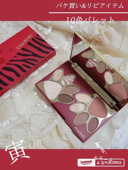 トラ十色アイシャドウパレット/COLORKEY/アイシャドウパレットを使ったクチコミ(1枚目)