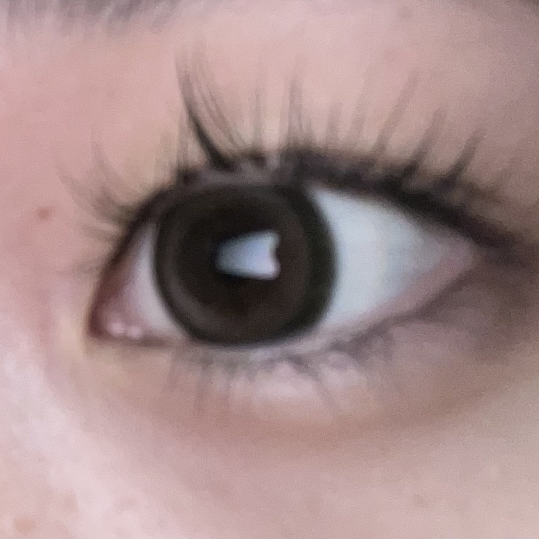 MOLAK 1day ブラウンバニー/MOLAK/ワンデー（１DAY）カラコンを使ったクチコミ（2枚目）