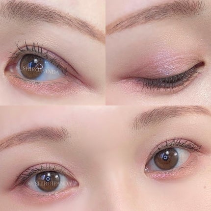 W ブロウEX N/サナ ニューボーン/パウダーアイブロウを使ったクチコミ(6枚目)