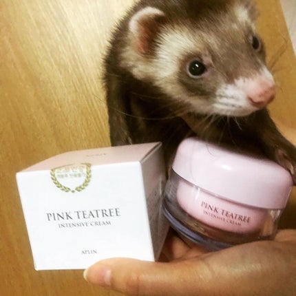 ãã³ã¯ãã£ãŒããªãŒã¯ãªãŒã /APLIN/ãã§ã€ã¹ã¯ãªãŒã ã䜿ã£ãã¯ãã³ãïŒ3æç®ïŒ