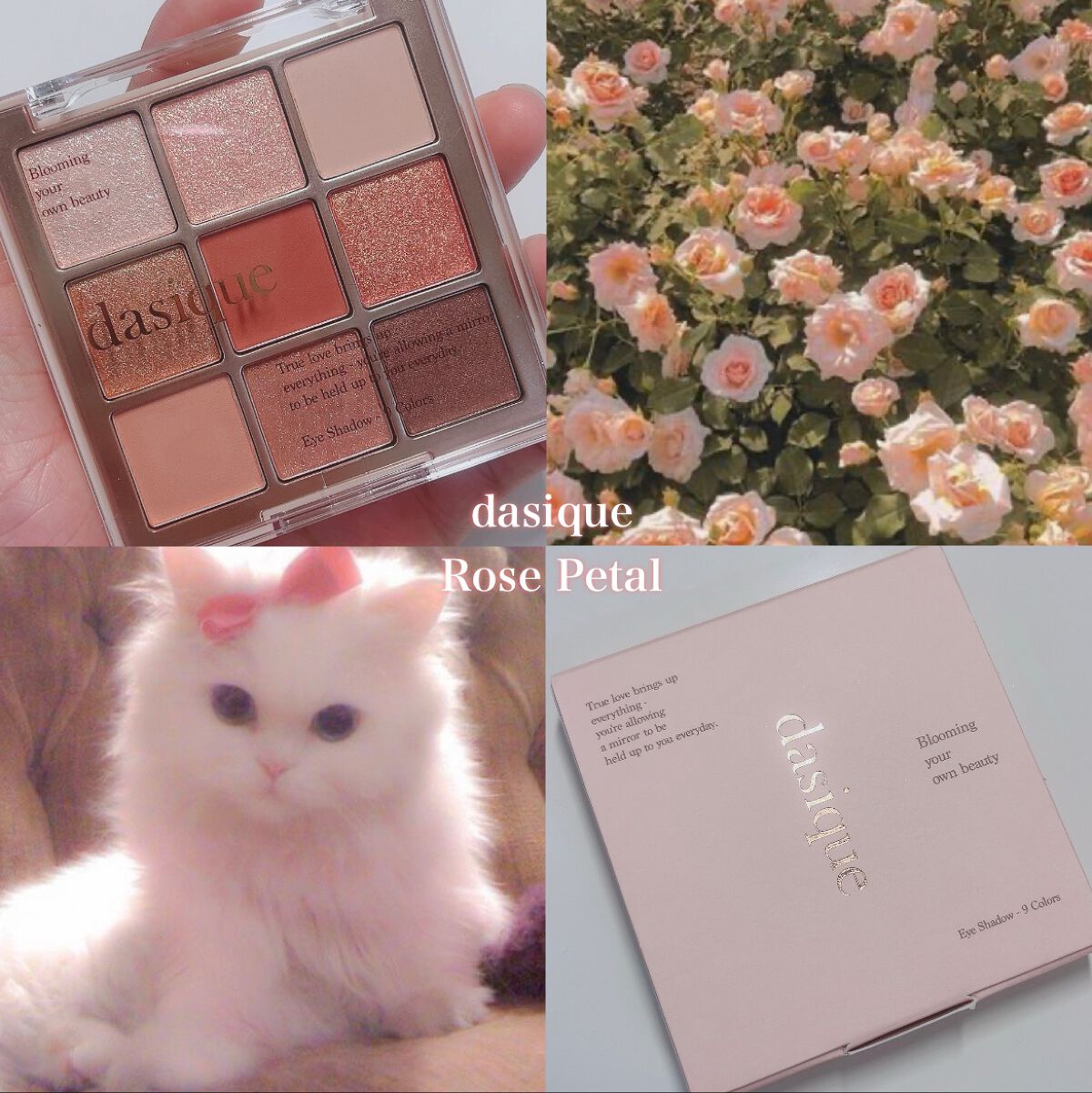 シャドウパレット/dasique/アイシャドウパレットを使ったクチコミ(1枚目)