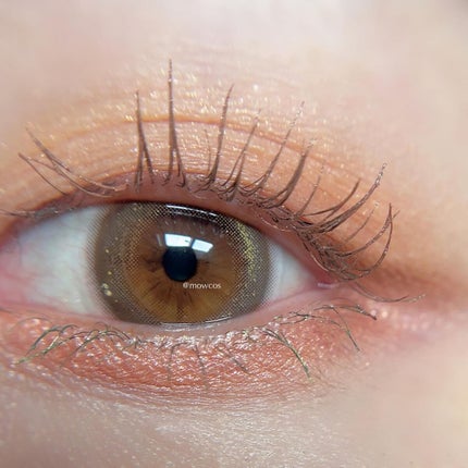 レ キャトル オンブル/CHANEL/アイシャドウパレットを使ったクチコミ(4枚目)