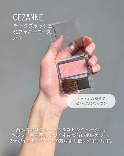 ayana/パーソナルカラー診断士のコスメレビュー on LIPS 「他の投稿はこちら▷@ayana__61【カジュアル派ブルベの一..」(5枚目)