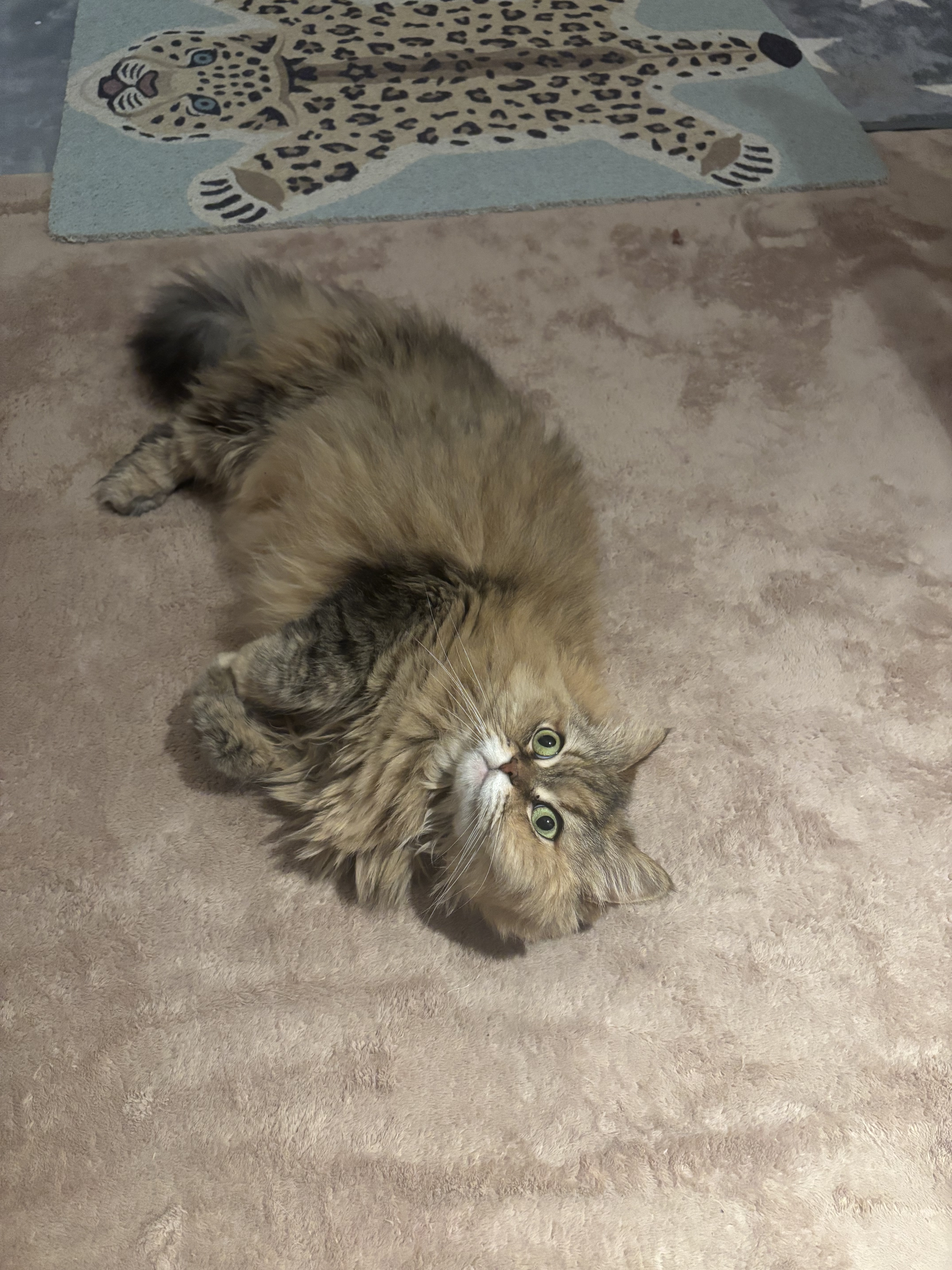 エイジングケア薬用美白乳液/無印良品/乳液を使ったクチコミ（1枚目）