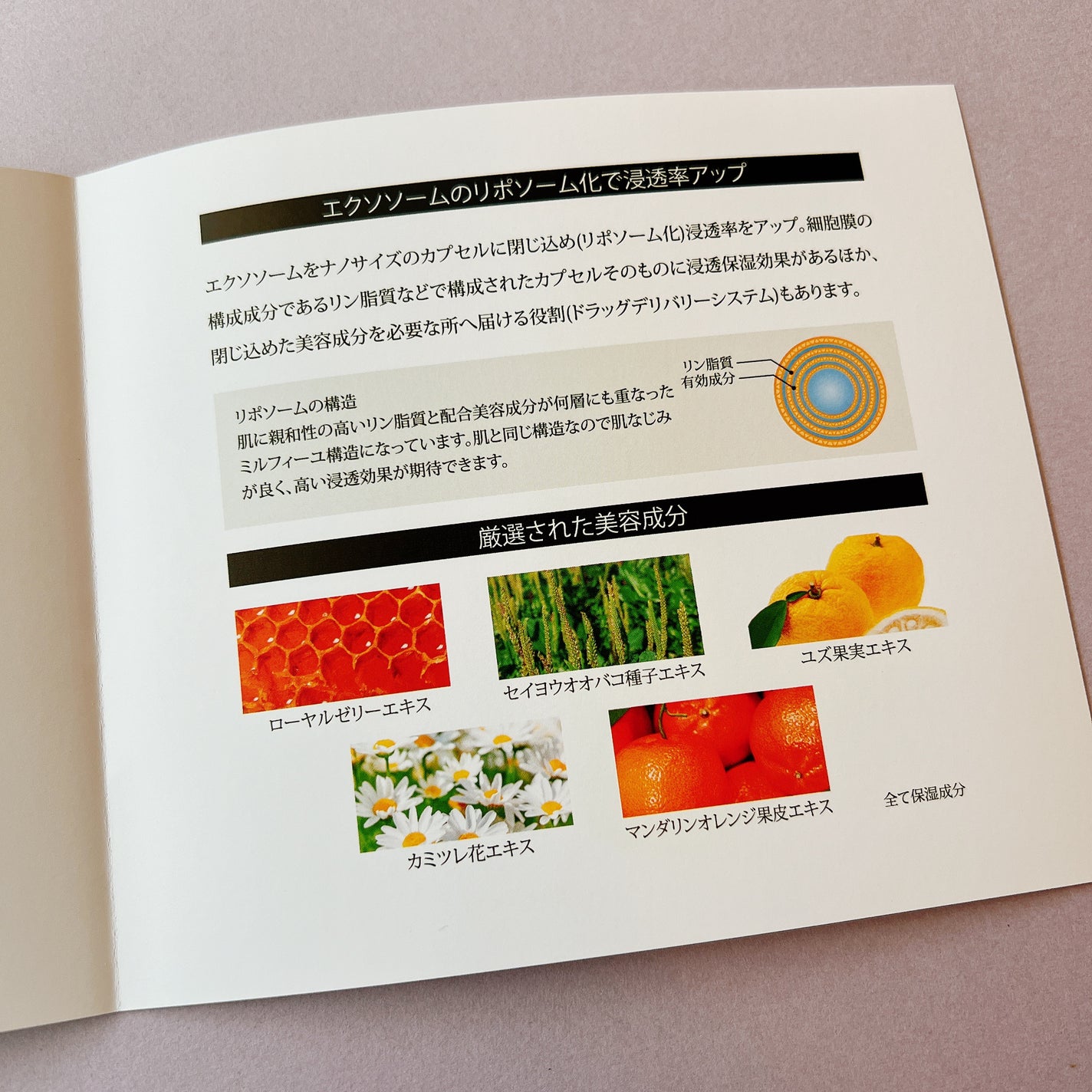 スハダダフネスエクソセラム/スハダダフネス/美容液を使ったクチコミ(3枚目)