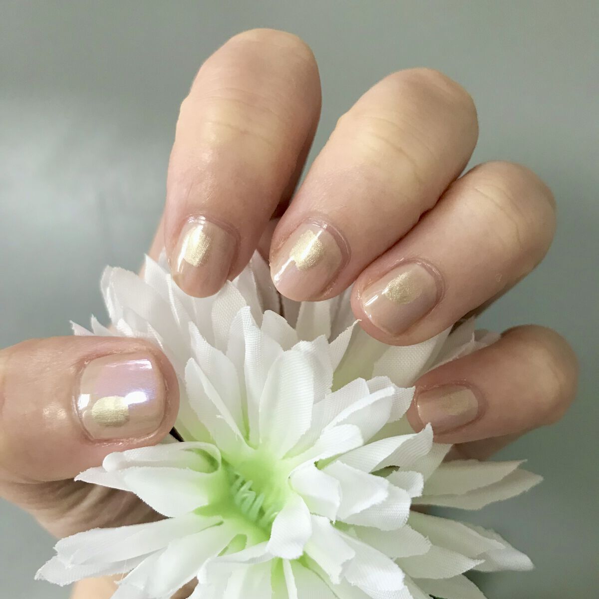 pa ネイルカラー プレミア AA167/pa nail collective/マニキュアを使ったクチコミ（1枚目）