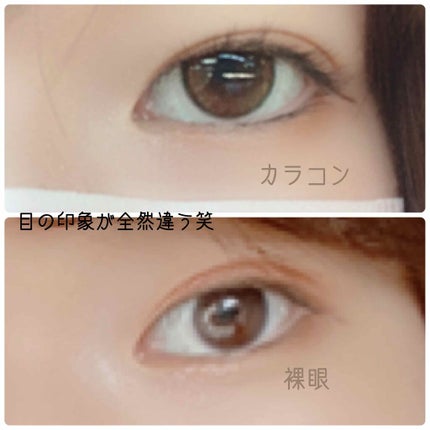 エルージュ 2weeks/éRouge/2週間(2WEEKS)カラコンを使ったクチコミ(3枚目)