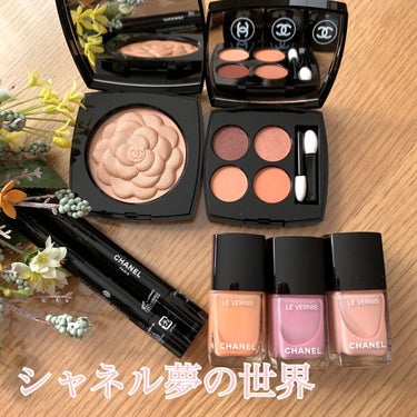 ヴェルニ ロング トゥニュ 921 /CHANEL/マニキュアを使ったクチコミ（1枚目）