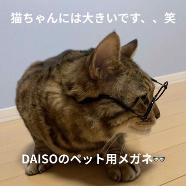 ペット用メガネ/DAISO/その他を使ったクチコミ（1枚目）