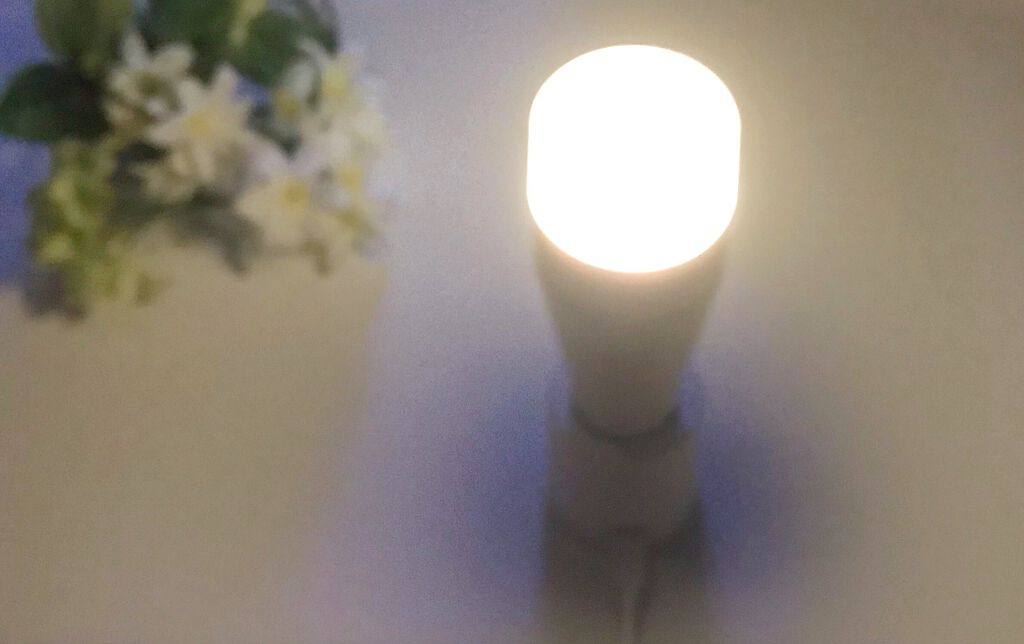 PLUMINUS/mous./美顔器・マッサージを使ったクチコミ(3枚目)