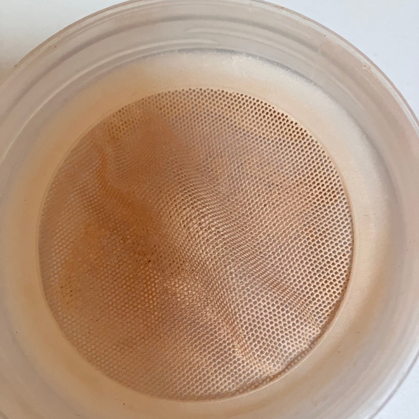 エクセル エクストラリッチパウダー'24/excel/ルースパウダーを使ったクチコミ(4枚目)