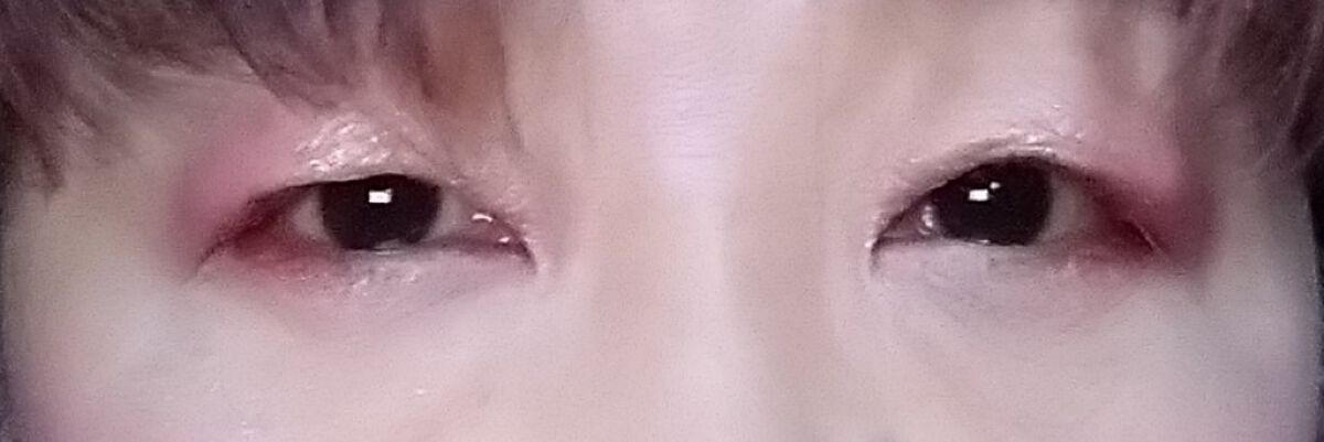 KATE 魂コレクション ブラウンレイヤーパレット/KATE/アイシャドウパレットを使ったクチコミ（2枚目）