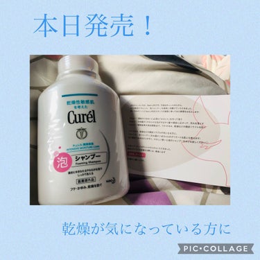 泡シャンプー 本体 480ml/キュレル/シャンプー・コンディショナーを使ったクチコミ（1枚目）