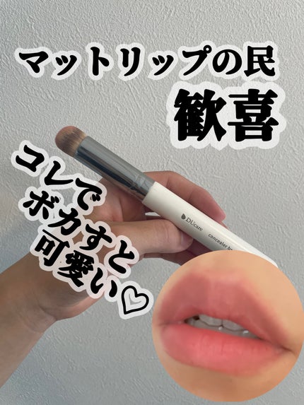 メイクブラシセット/DUcare/メイクブラシを使ったクチコミ(1枚目)