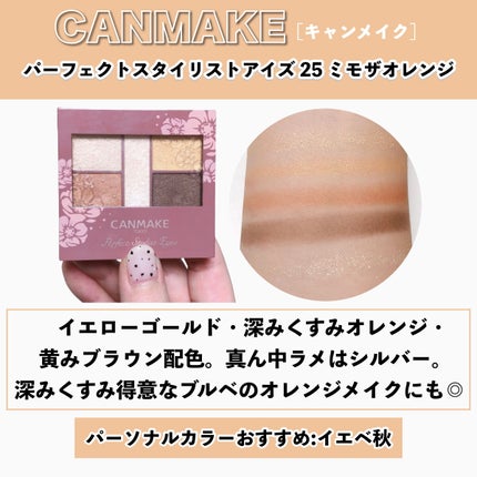 パーフェクトスタイリストアイズ/キャンメイク/アイシャドウパレットを使ったクチコミ(10枚目)