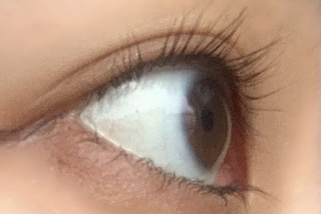 アイラッシュカーラー/SHISEIDO/ビューラーを使ったクチコミ（3枚目）