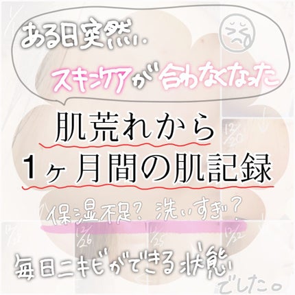 菊正宗 日本酒の化粧水 高保湿/菊正宗/化粧水を使ったクチコミ(1枚目)