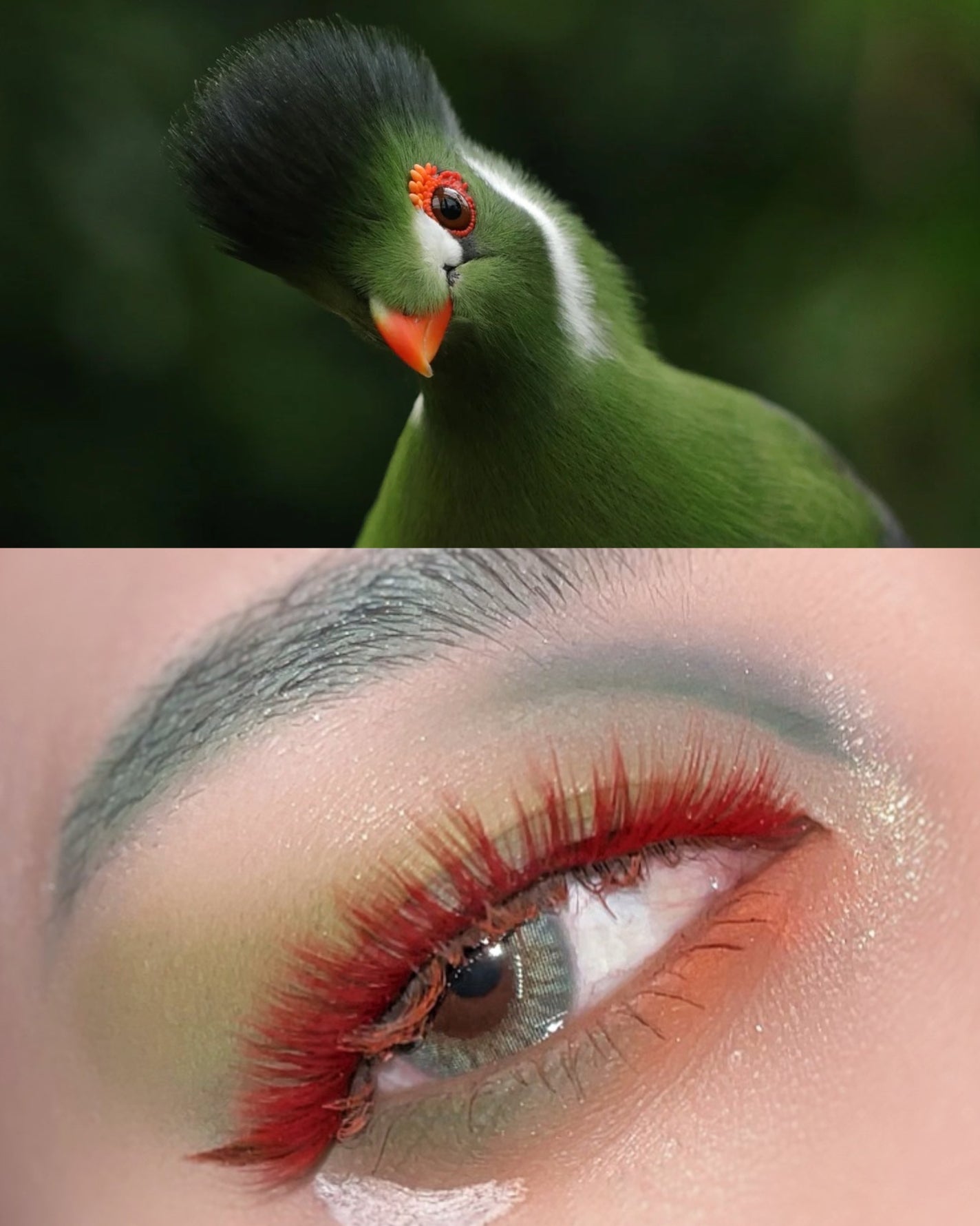 N’s COLLECTION 1day/N’s COLLECTION/ワンデー(1DAY)カラコンを使ったクチコミ(1枚目)