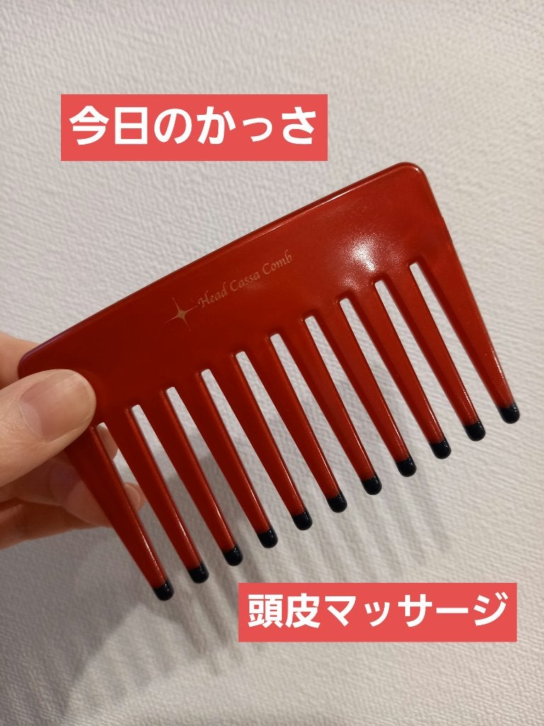ヘッドかっさコーム/ベス/ヘアケアグッズを使ったクチコミ(1枚目)