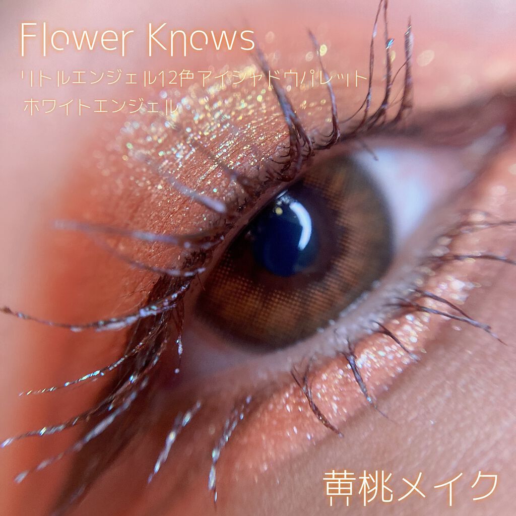 リトルエンジェル12色アイシャドウパレット/FlowerKnows/アイシャドウパレットを使ったクチコミ（1枚目）