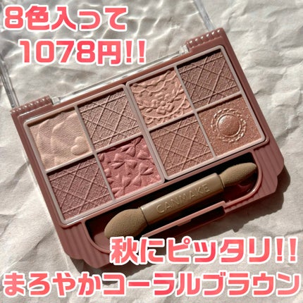 プティパレットアイズ(マットタイプ)/キャンメイク/パウダーアイシャドウを使ったクチコミ(1枚目)