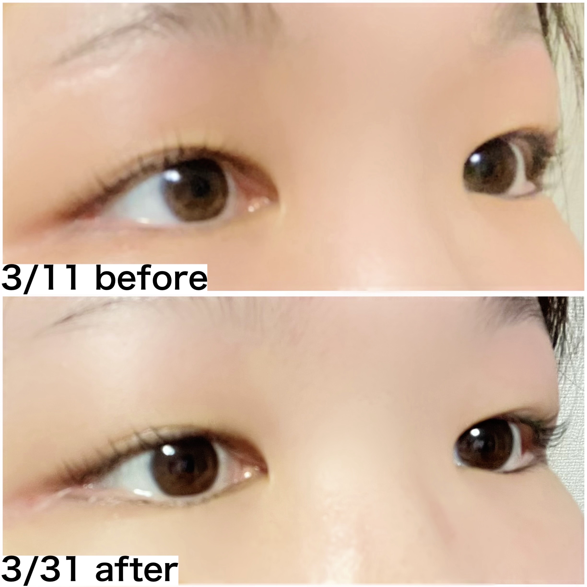 ロングアクティブアイラッシュセラム/COSNORI/まつげ美容液を使ったクチコミ（2枚目）