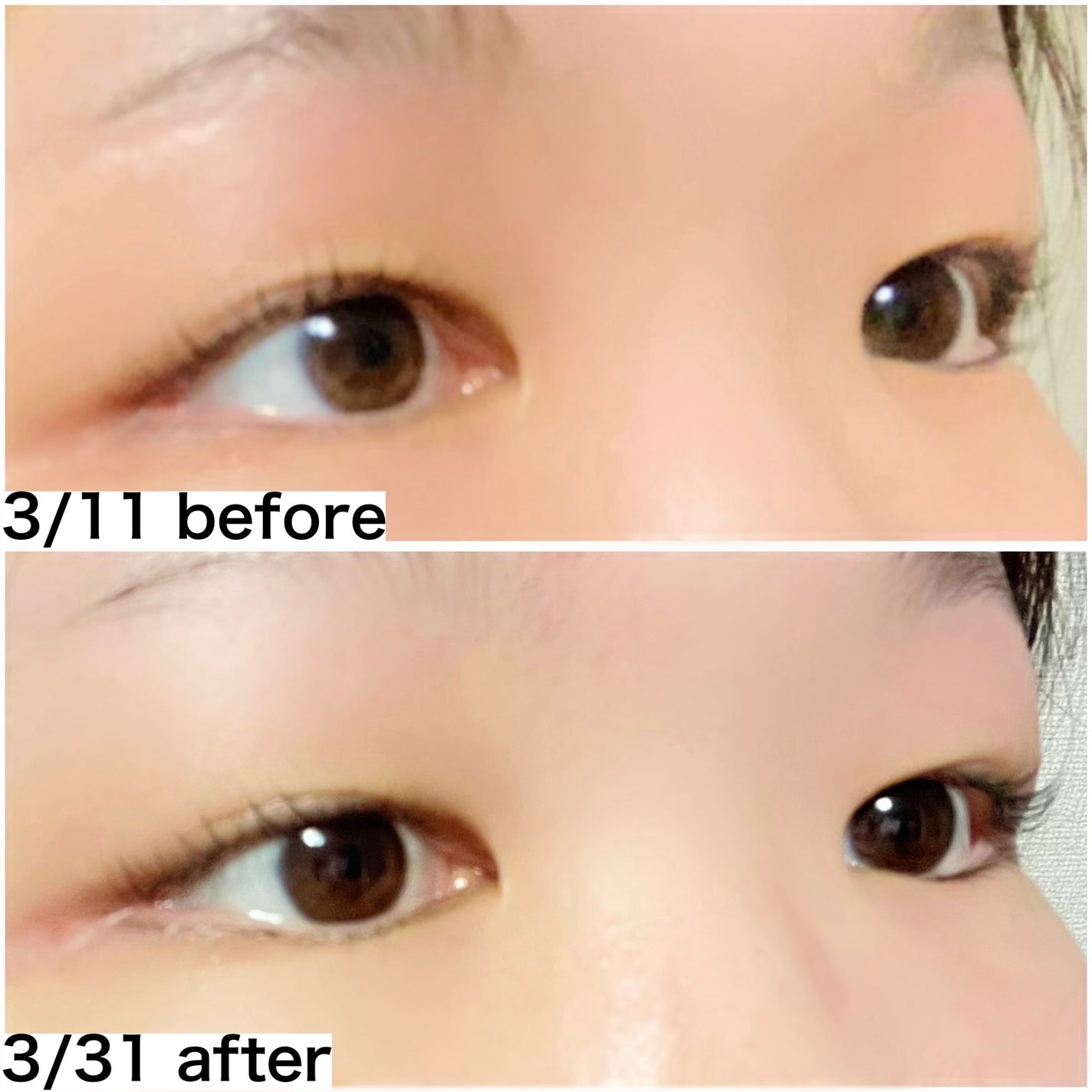 ロングアクティブアイラッシュセラム/COSNORI/まつげ美容液を使ったクチコミ(2枚目)