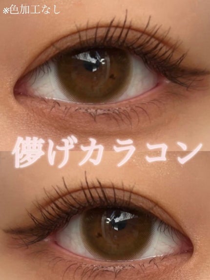MOLAK 1month/MOLAK/1ヶ月(1MONTH)カラコンを使ったクチコミ(1枚目)