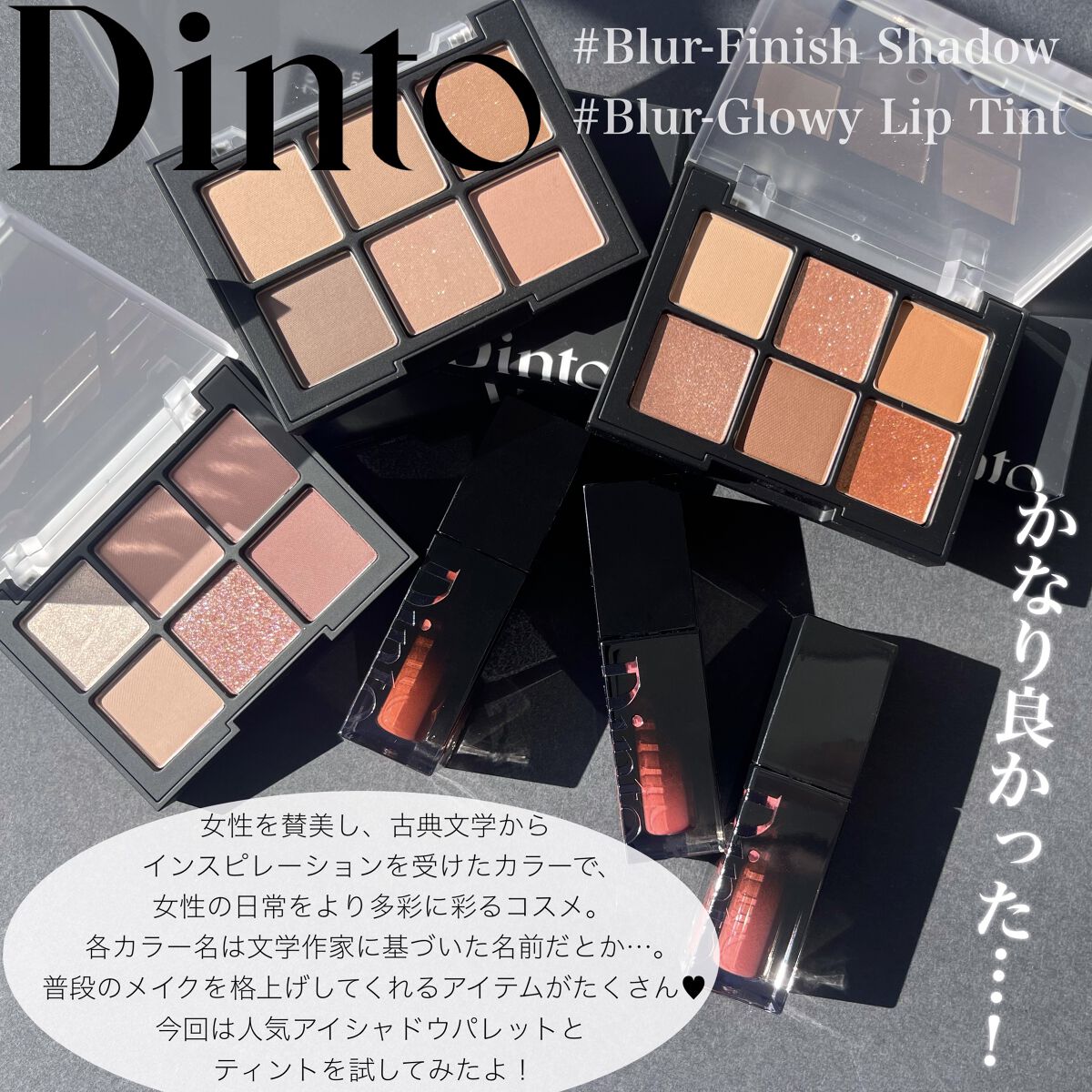 ブラーフィニシュシャドウパレット/Dinto/アイシャドウパレットを使ったクチコミ（2枚目）