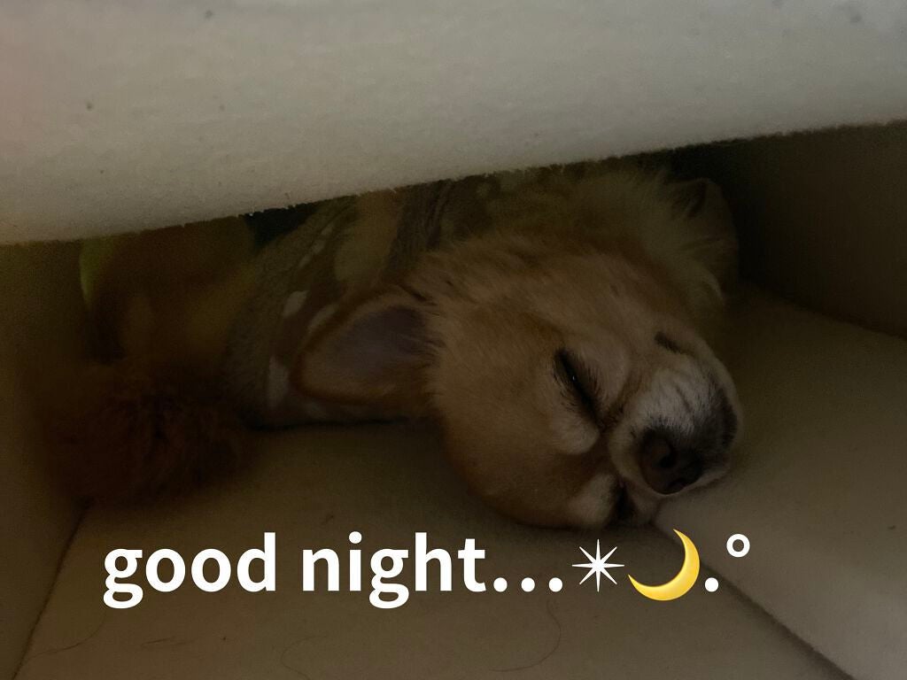 トップ シークレット リップ パーフェクター/YVES SAINT LAURENT BEAUTE/リップケアを使ったクチコミ(5枚目)