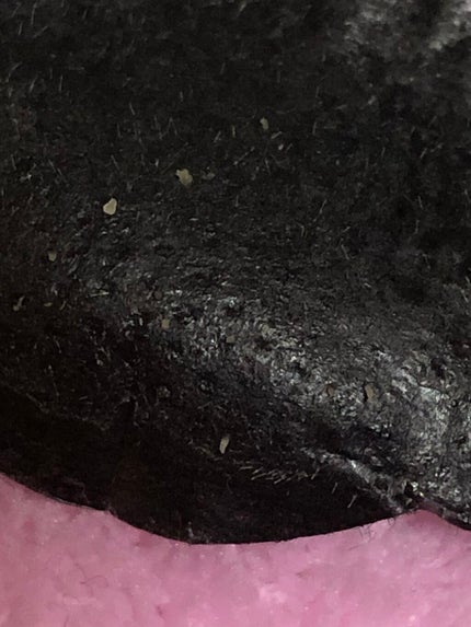 毛穴すっきりパック 鼻用 黒色タイプ/ビオレ/その他スキンケアを使ったクチコミ(2枚目)