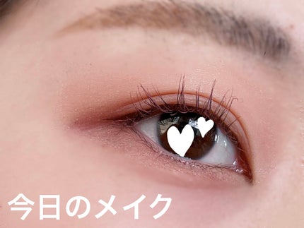 エクスプローラ12色 動物アイシャドウパレット/PERFECT DIARY/アイシャドウパレットを使ったクチコミ(1枚目)