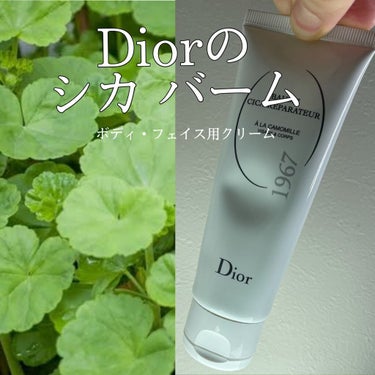 シカ バーム/Dior/ボディクリームを使ったクチコミ（1枚目）