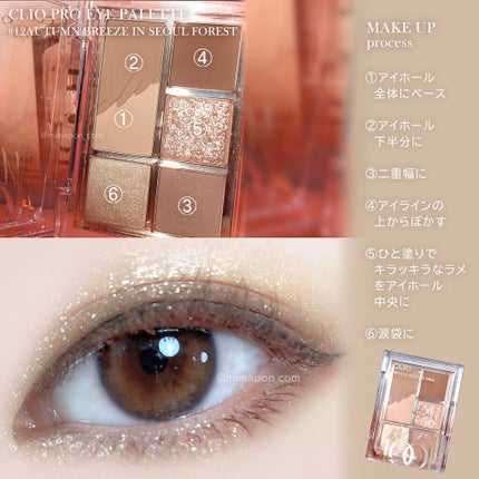 プロ アイパレット ミニ/CLIO/アイシャドウパレットを使ったクチコミ(2枚目)