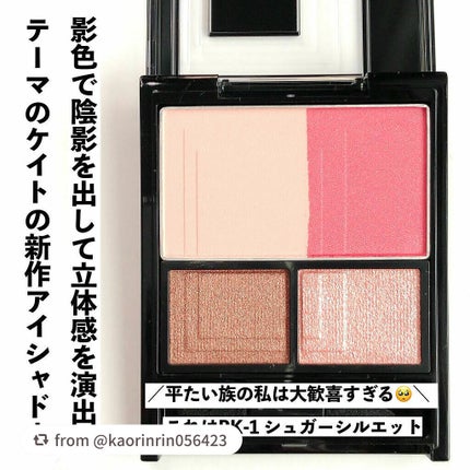 3Dプロデュースシャドウ/KATE/アイシャドウパレットを使ったクチコミ(2枚目)