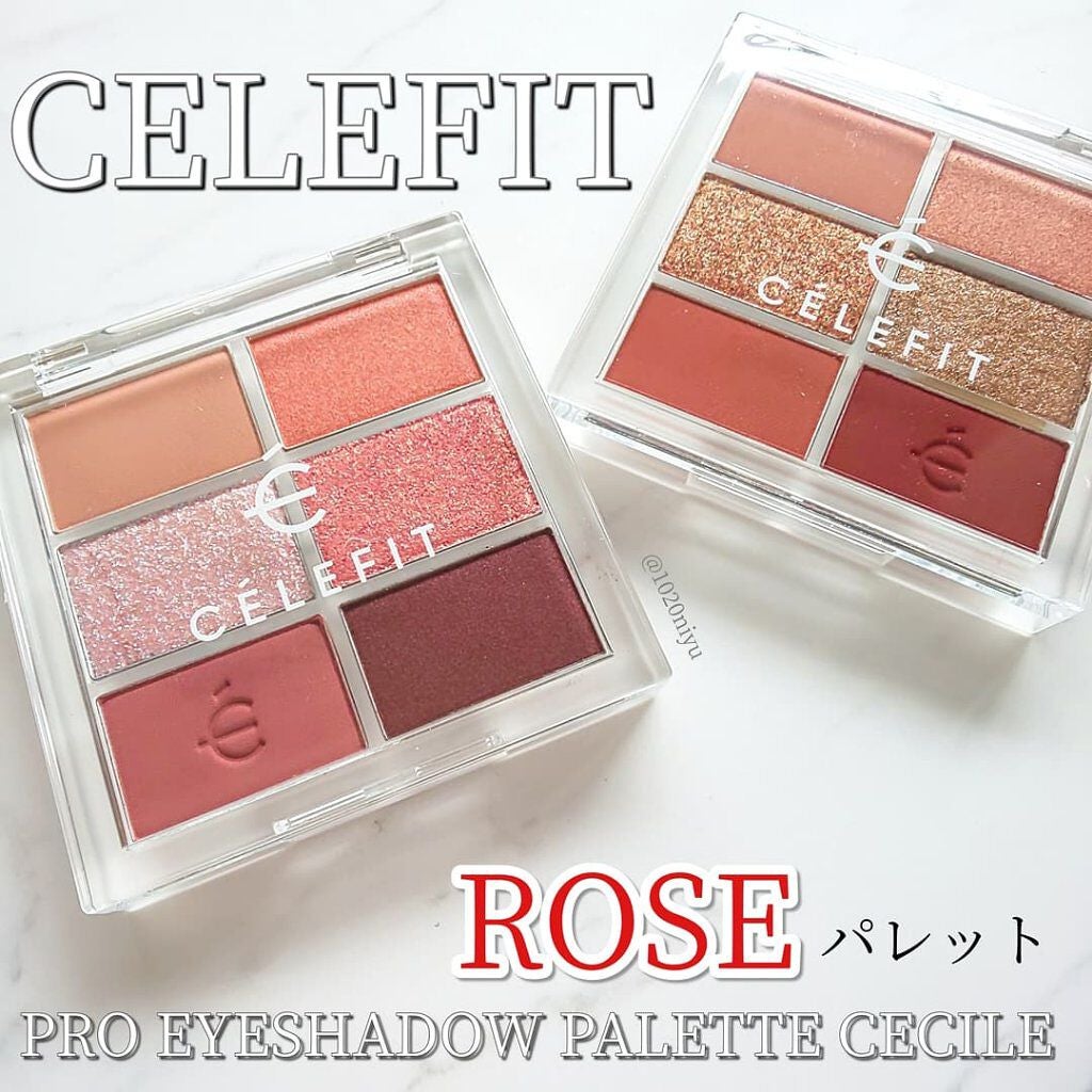 プロアイシャドウパレットセシル/CELEFIT/アイシャドウパレットを使ったクチコミ(1枚目)