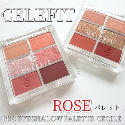 プロアイシャドウパレットセシル/CELEFIT/アイシャドウパレットを使ったクチコミ(1枚目)
