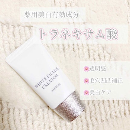 アルビオン ホワイトフィラー クリエイター/ALBION/化粧下地を使ったクチコミ(1枚目)