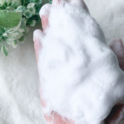 パーフェクトホワイトクレイ/SENKA(専科)/洗顔フォームを使ったクチコミ(4枚目)