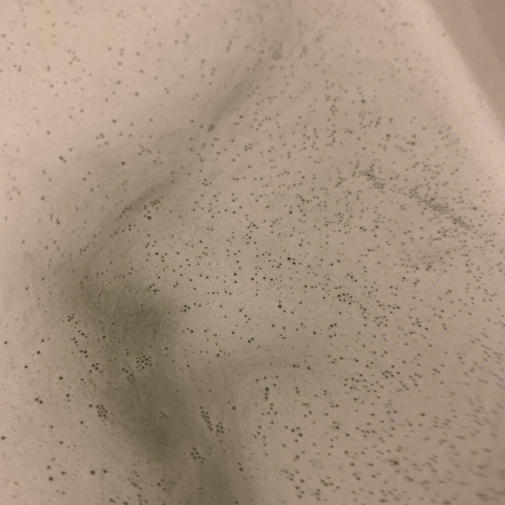 エピュール レモングラス＆ゼラニウムの香り/バブ/炭酸系入浴剤を使ったクチコミ（3枚目）