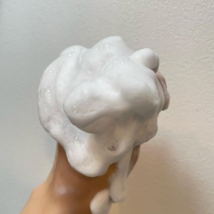 REPAIR CONTROL PURE MILD CLEANSING GEL/Easydew/洗顔フォームを使ったクチコミ(3枚目)