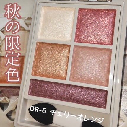 パノラマデザイン アイパレット/Visée/アイシャドウパレットを使ったクチコミ(2枚目)