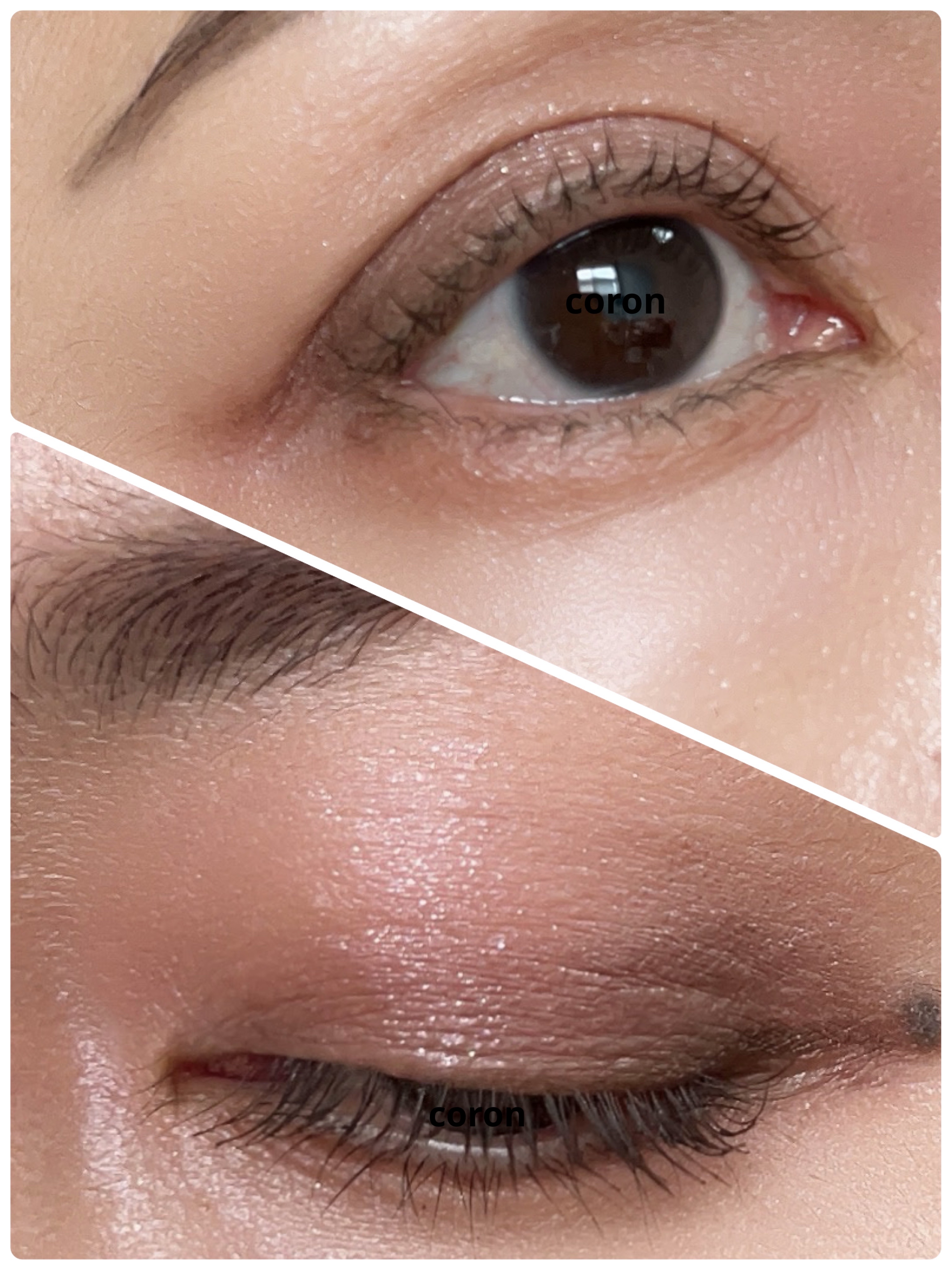 パーフェクトエクステンション マスカラ/D-UP/マスカラを使ったクチコミ（2枚目）