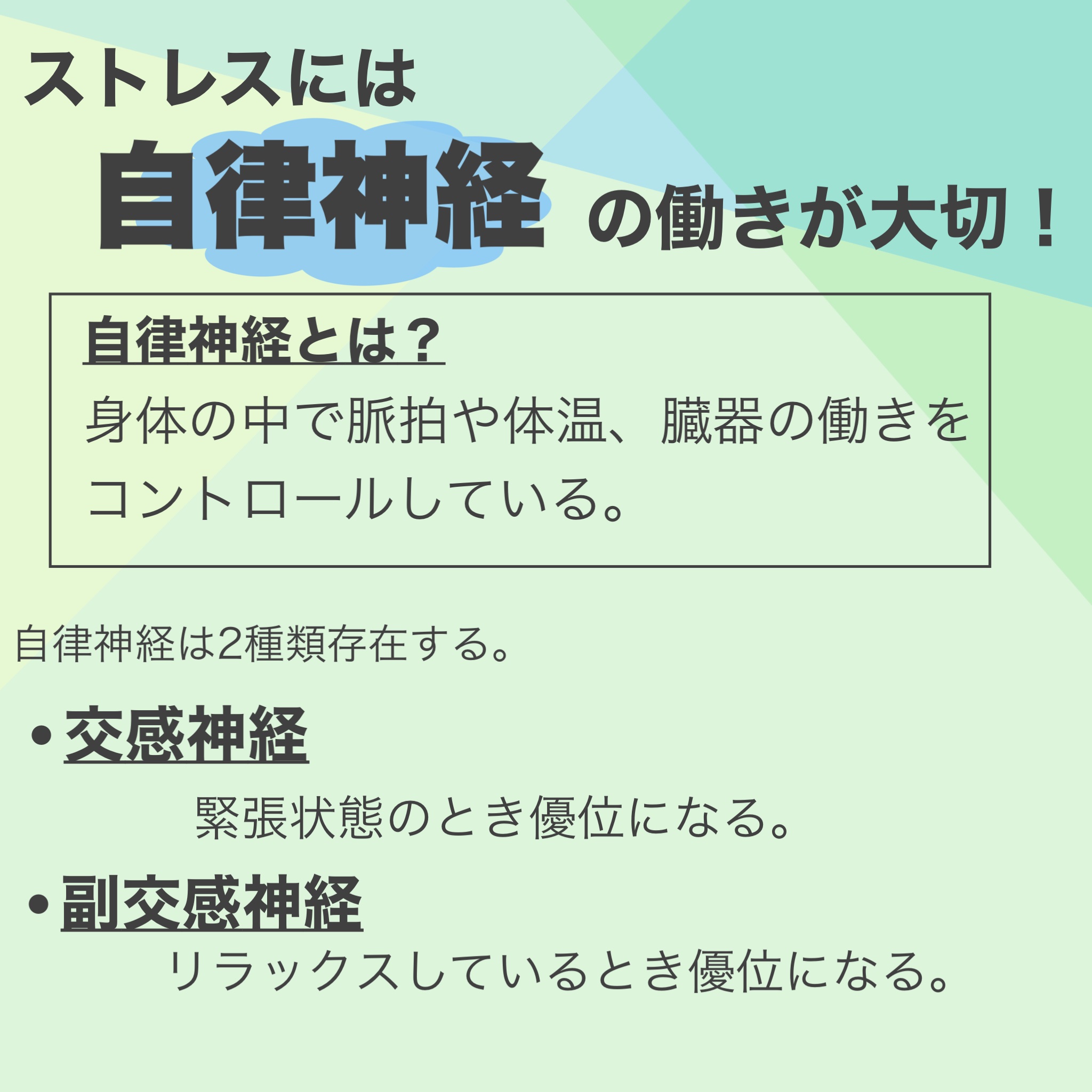 ザ・タイムR アクア/IPSA/化粧水を使ったクチコミ（3枚目）